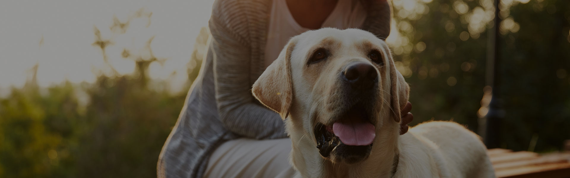 Pet friendly community