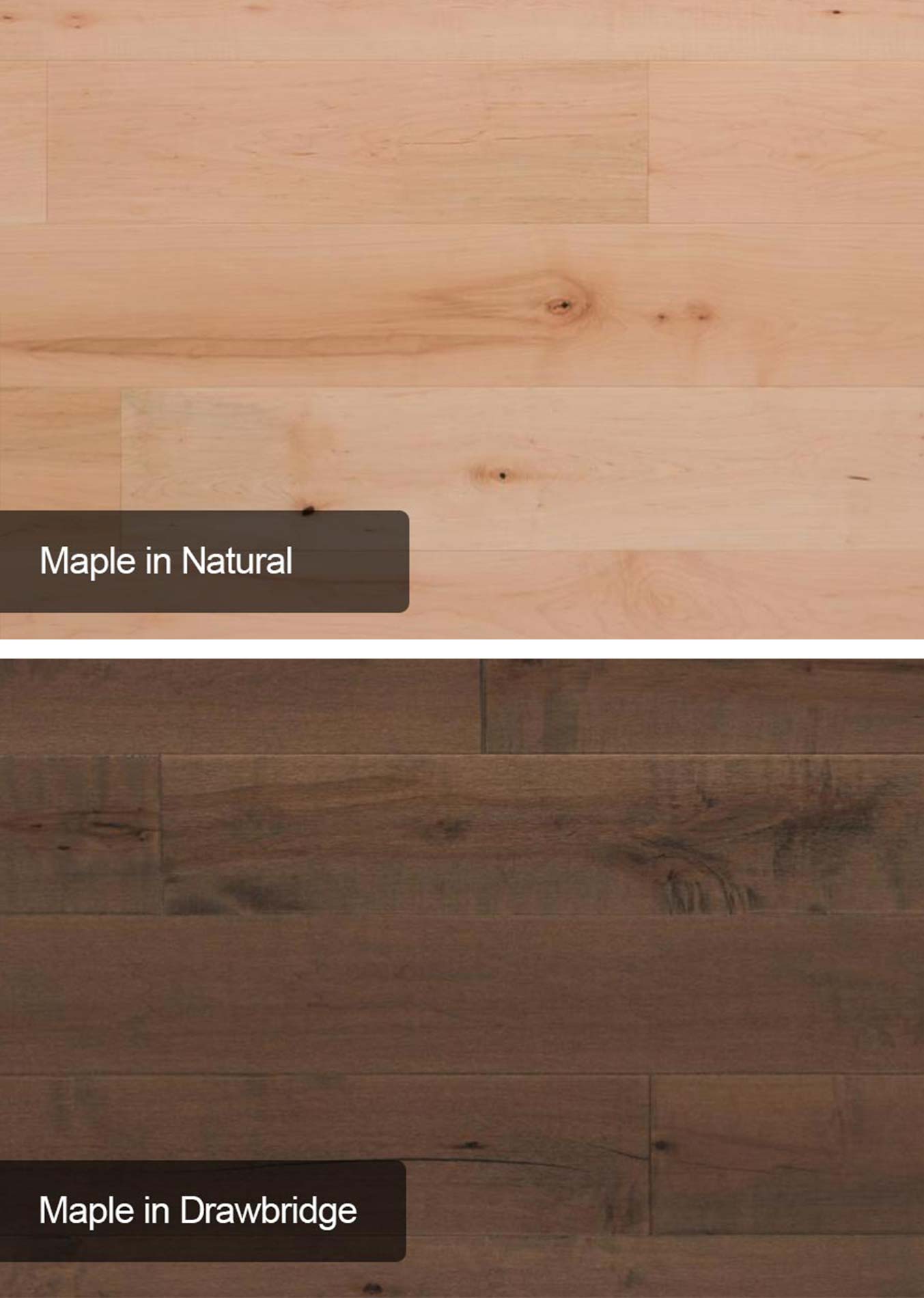 Abode, Tempo Maple Hardwood Image